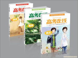 封面设计与品牌塑造 从食品包装到企业VI与软件开发