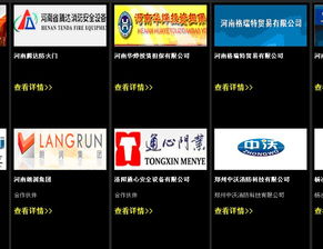 河南企业管理赋能全链条 从咨询策划到认证开发的一体化解决方案